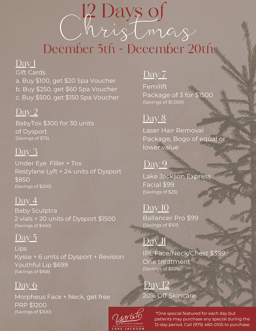 Lake Jackson 12 Days of Christmas Houston Specials