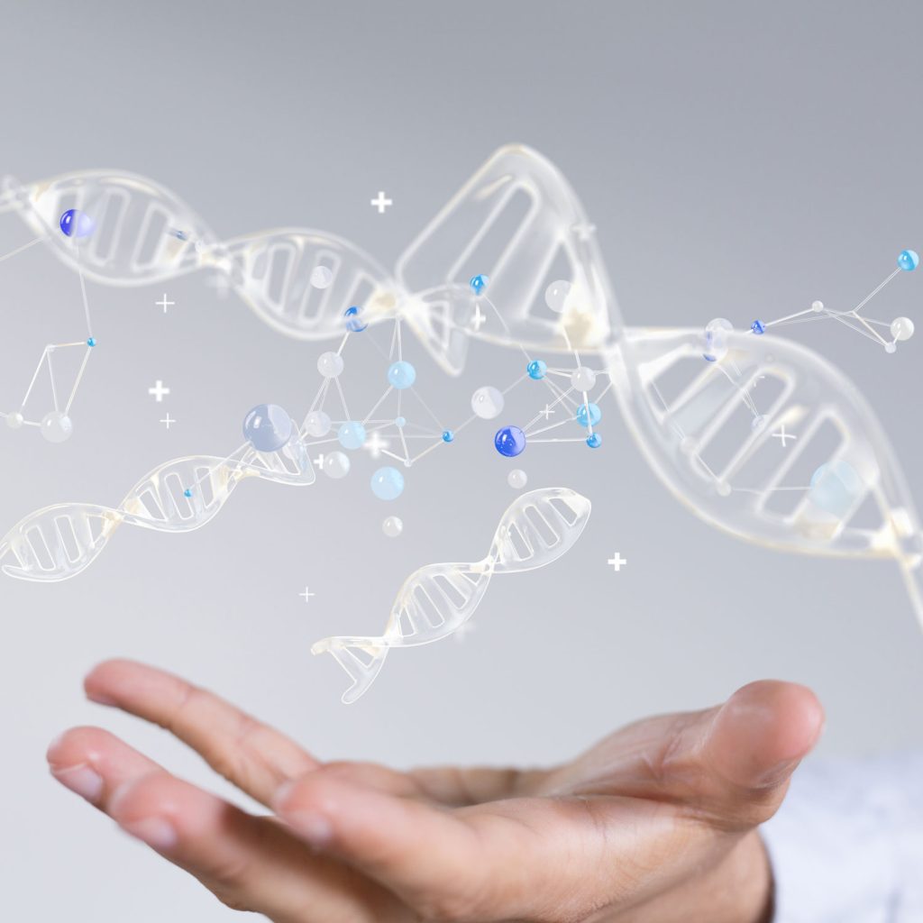 NAD+, Longevity